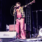 9 - Charles Bradley Boston Calling Concert Photo 3.jpg