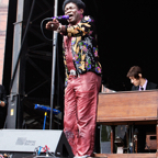 10 - Charles Bradley Boston Calling Concert Photo 4.jpg