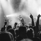 Dropkick-Murphys-Boston-7