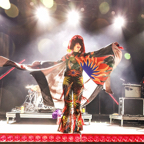 Yeah Yeah Yeahs MGM Music Hall Boston Concert Photo 1.jpg