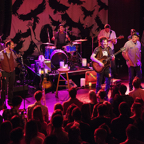 Chad Stokes Calling All Crows Concert Photo 21
