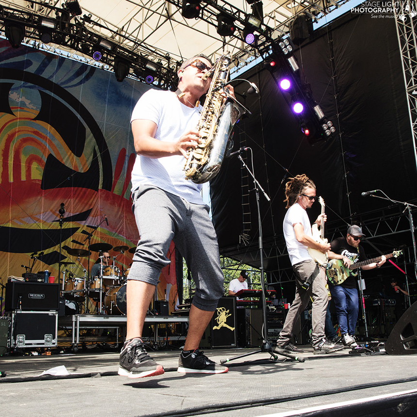 Soja &bull; 7/12/19