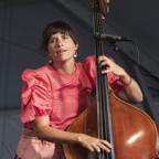 26 - Lake Street Dive Newport Folk Fest Concert Photo.jpg