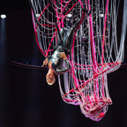 Pink TD Garden Boston Concert Photo 1.jpg